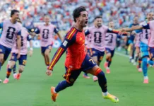 Argentina dio pelea hasta el final, pero fue superado por España que ganó 1 a 0 y se consagró campeón del mundo